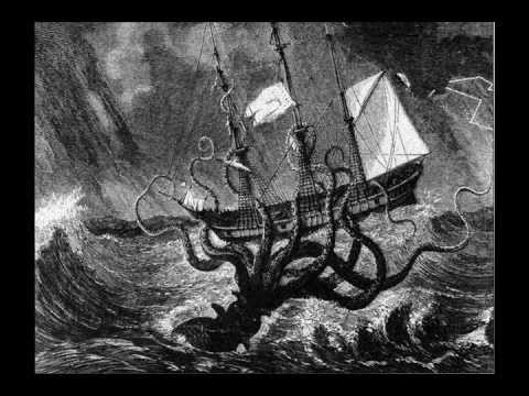 Kraken Shower Curtain – Octopus or Squid?
